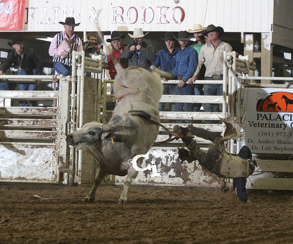 22nd Annual